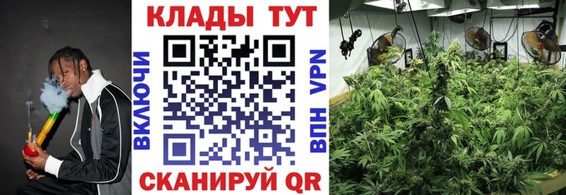 Наркошоп Краснознаменск Амфетамин МЕФ Кокаин ГАШ KRAKEN ССЫЛКА Конопля Галлюциногенные грибы