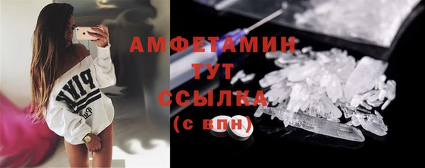спиды Пересвет