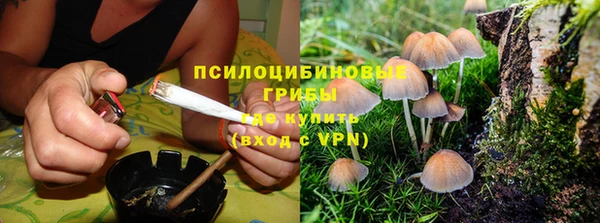 бошки Пестово