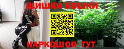 индика Аргун