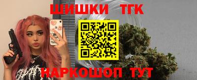 индика Аргун