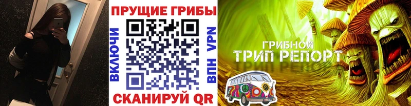 Псилоцибиновые грибы MAGIC MUSHROOMS  гидра ссылка  Краснознаменск  где продают наркотики 