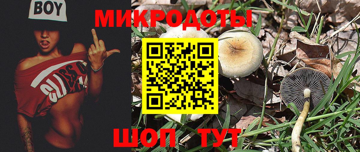 Галлюциногенные грибы Cubensis Краснознаменск