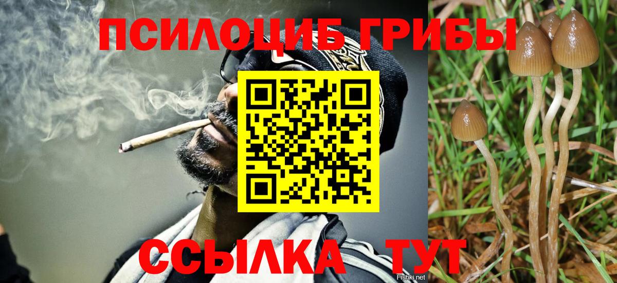 Псилоцибиновые грибы ЛСД  Краснознаменск 