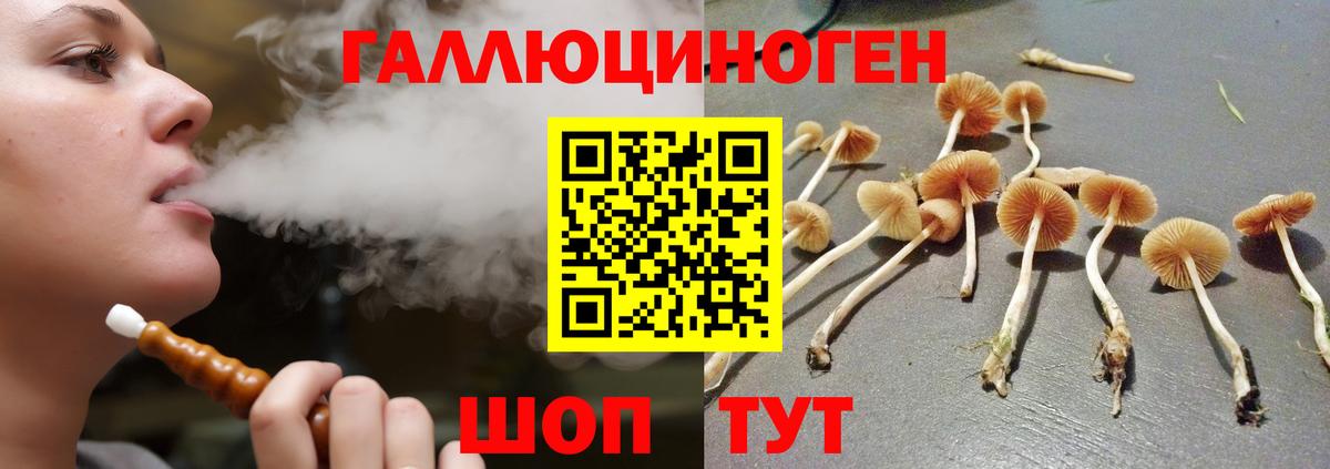 Галлюциногенные грибы GOLDEN TEACHER  Вход с VPN  Краснознаменск 